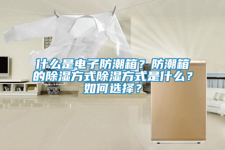 什麽是電子防潮箱？防潮箱的除濕方式除濕方式是什麽？如何選擇？