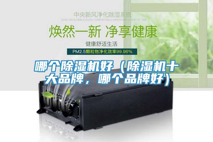 哪個91看片软件大全好（91看片软件大全十大品牌，哪個品牌好）