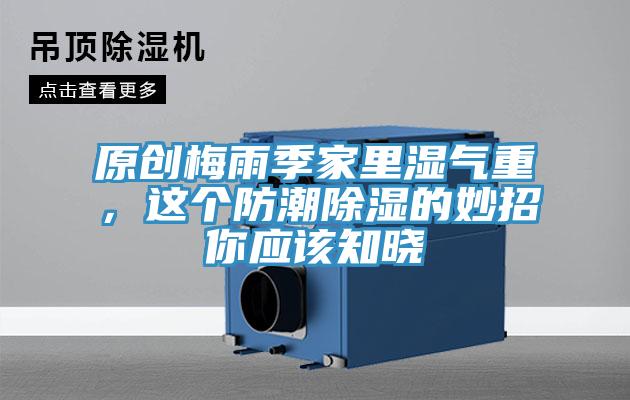 原創梅雨季家裏濕氣重，這個防潮除濕的妙招你應該知曉
