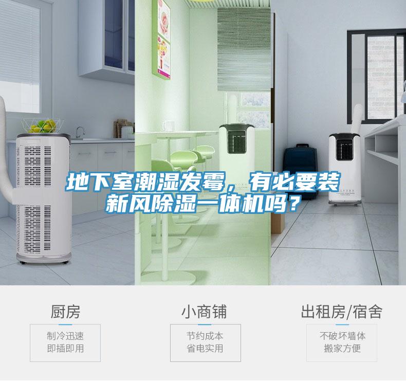 地下室潮濕發黴，有必要裝新風除濕一體機嗎？