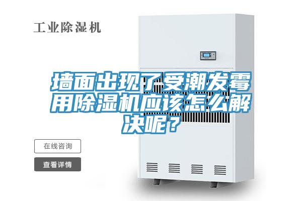牆麵出現了受潮發黴用91看片软件大全應該怎麽解決呢？