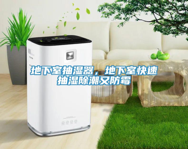 地下室抽濕器，地下室快速抽濕除潮又防黴