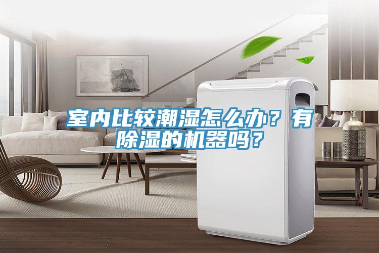 室內比較潮濕怎麽辦？有除濕的機器嗎？