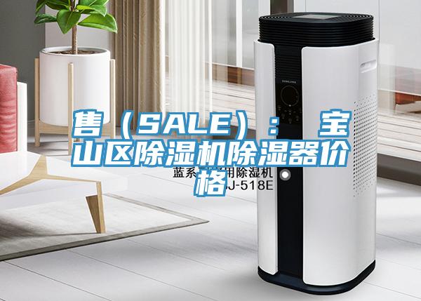 售（SALE）： 寶山區91看片软件大全除濕器價格