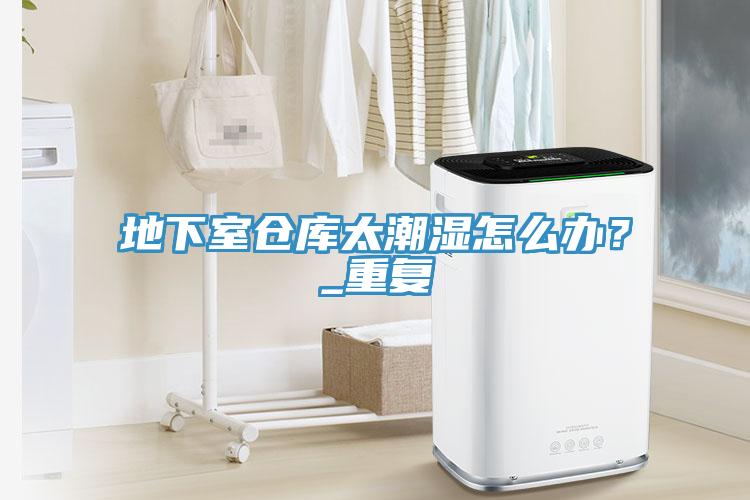 地下室倉庫太潮濕怎麽辦？_重複