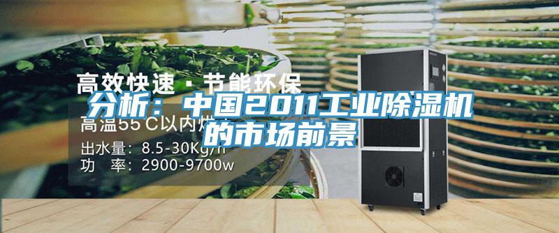 分析：中國2011工業91看片软件大全的市場前景