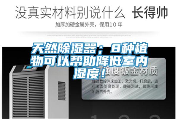 天然除濕器；8種植物可以幫助降低室內濕度！