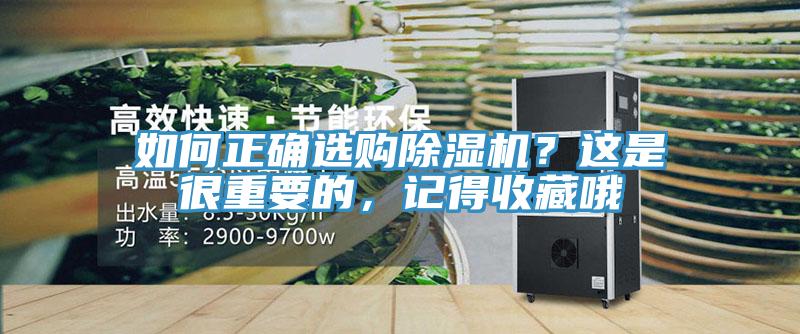 如何正確選購91看片软件大全？這是很重要的，記得收藏哦