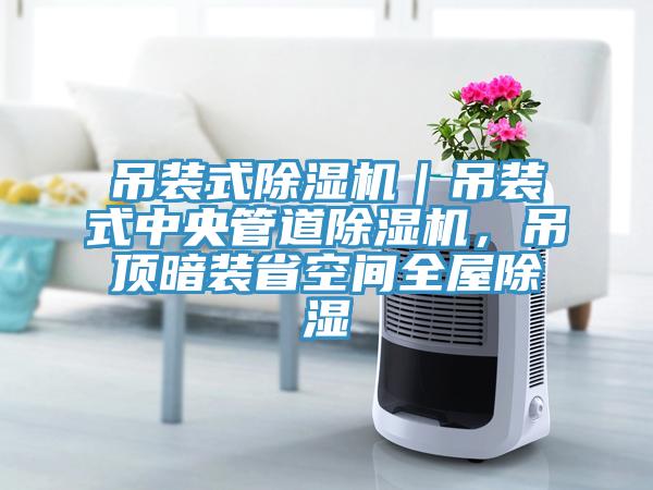 吊裝式91看片软件大全｜吊裝式中央管道91看片软件大全，吊頂暗裝省空間全屋除濕