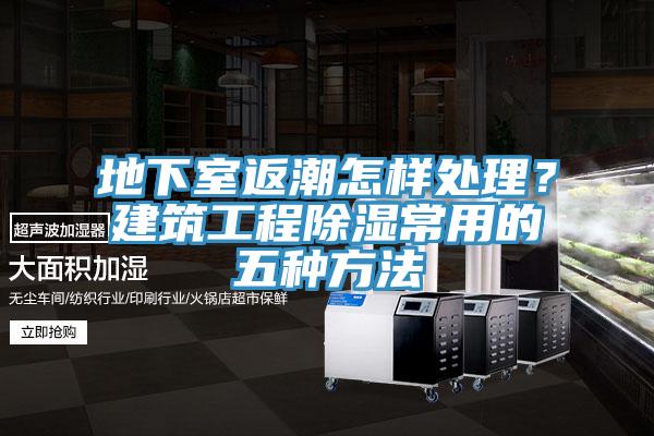 地下室返潮怎樣處理？建築工程除濕常用的五種方法