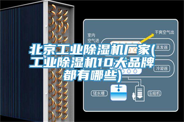 北京工業91看片软件大全廠家(工業91看片软件大全10大品牌都有哪些)