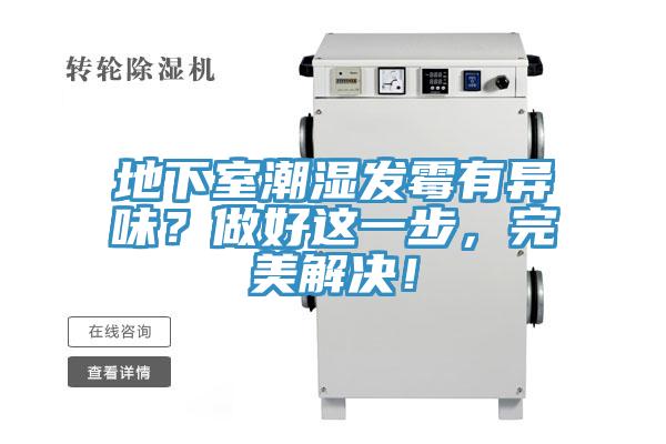 地下室潮濕發黴有異味？做好這一步，完美解決！