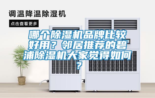 哪個91看片软件大全品牌比較好用？鄰居推薦的碧浦91看片软件大全大家覺得如何？