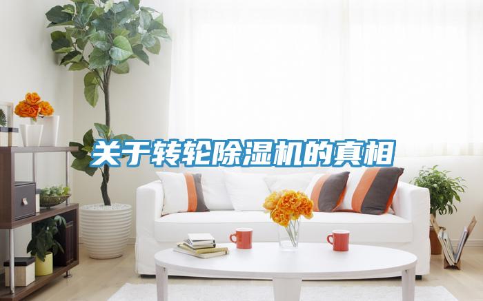 關於轉輪91看片软件大全的真相