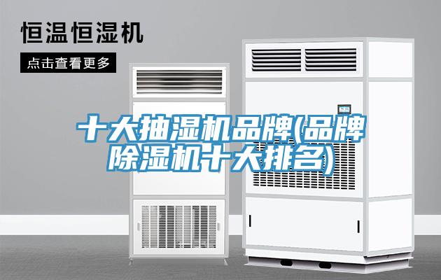十大抽濕機品牌(品牌91看片软件大全十大排名)