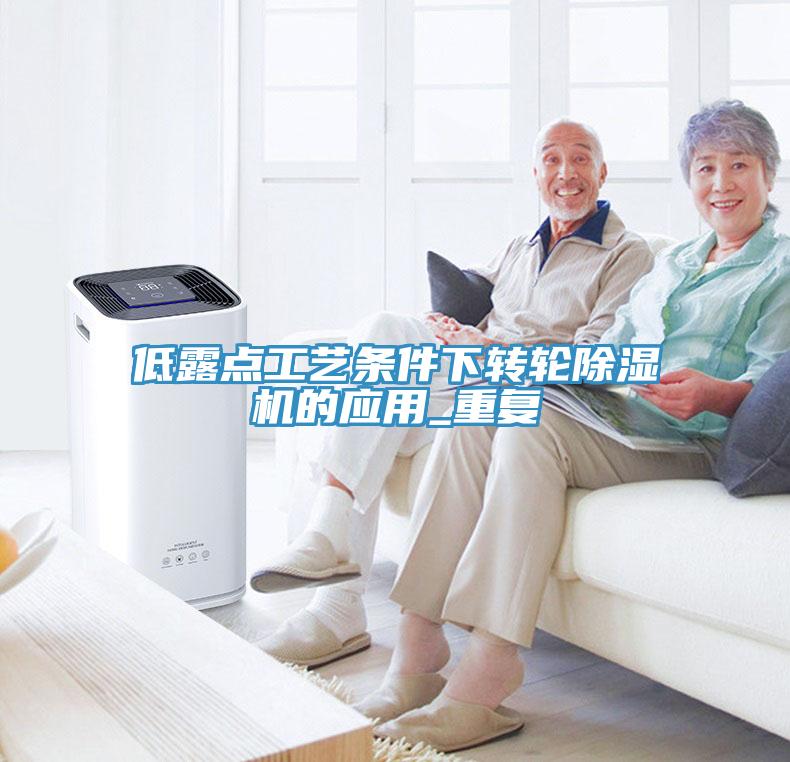 低露點工藝條件下轉輪91看片软件大全的應用_重複