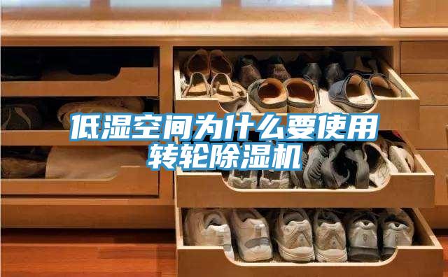 低濕空間為什麽要使用轉輪91看片软件大全
