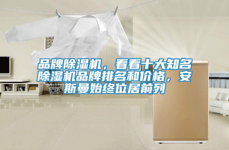 品牌91看片软件大全，看看十大知名91看片软件大全品牌排名和價格，安斯曼始終位居前列