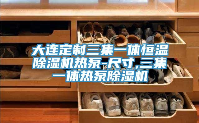大連定製三集一體恒溫91看片软件大全熱泵-尺寸,三集一體熱泵91看片软件大全
