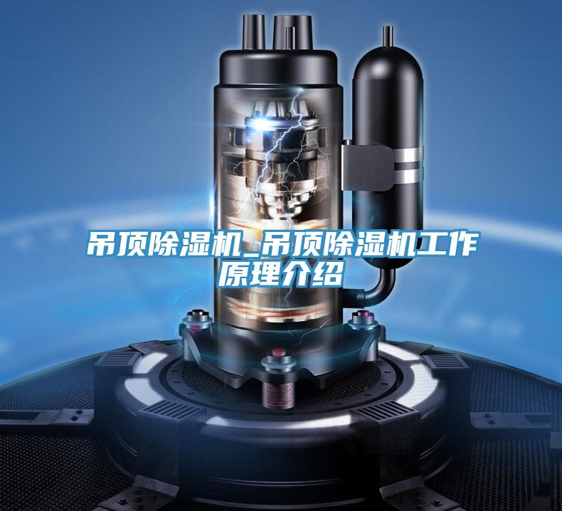吊頂91看片软件大全_吊頂91看片软件大全工作原理介紹