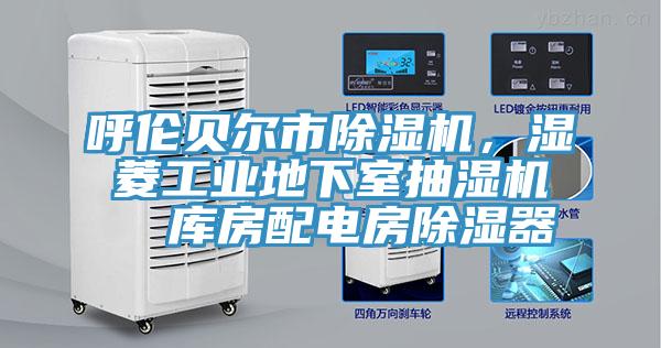 呼倫貝爾市91看片软件大全，濕菱工業地下室抽濕機  庫房配電房除濕器