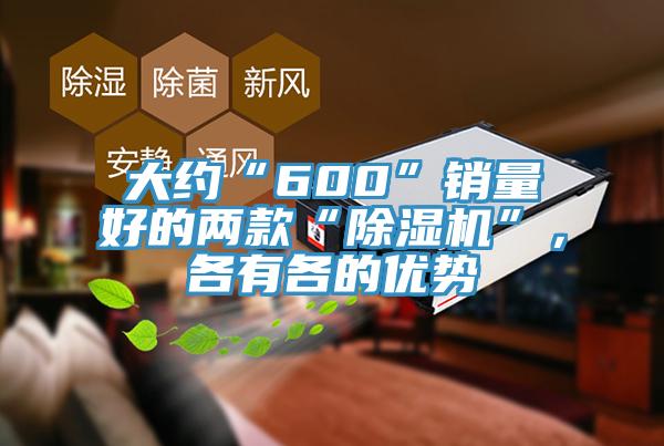 大約“600”銷量好的兩款“91看片软件大全”，各有各的優勢