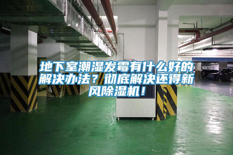 地下室潮濕發黴有什麽好的解決辦法？徹底解決還得新風91看片软件大全！