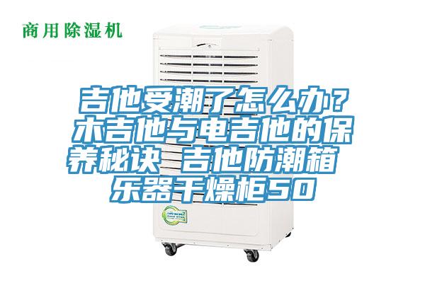吉他受潮了怎麽辦？木吉他與電吉他的保養秘訣 吉他防潮箱 樂器幹燥櫃50