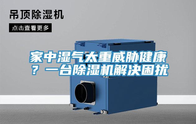 家中濕氣太重威脅健康？一台91看片软件大全解決困擾