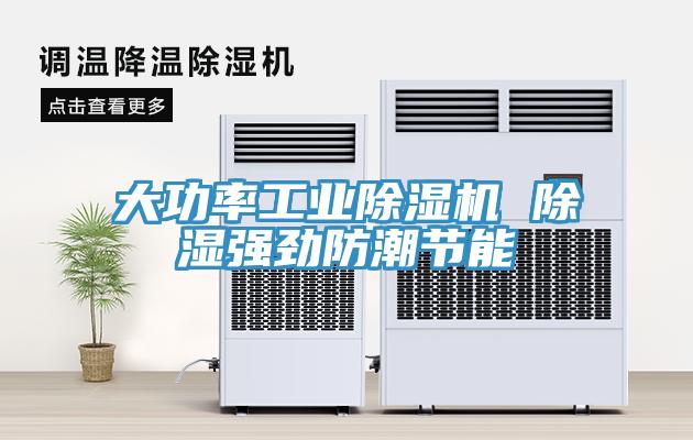 大功率工業91看片软件大全 除濕強勁防潮節能