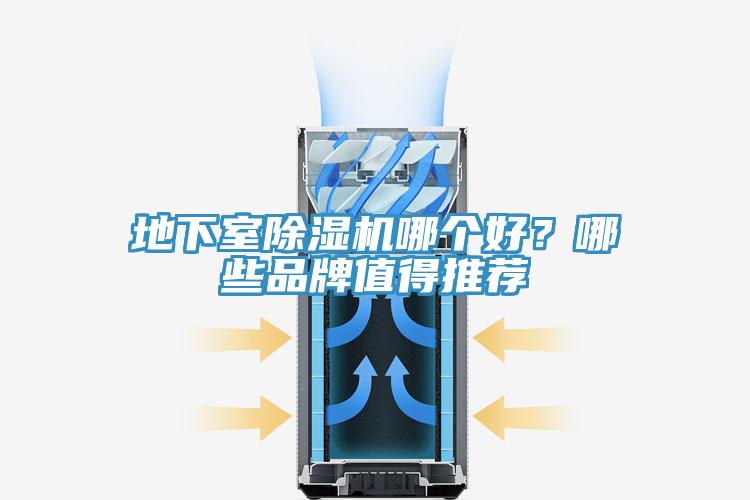 地下室91看片软件大全哪個好？哪些品牌值得推薦