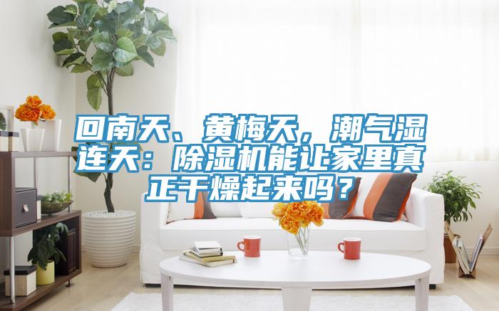 回南天、黃梅天，潮氣濕連天：91看片软件大全能讓家裏真正幹燥起來嗎？