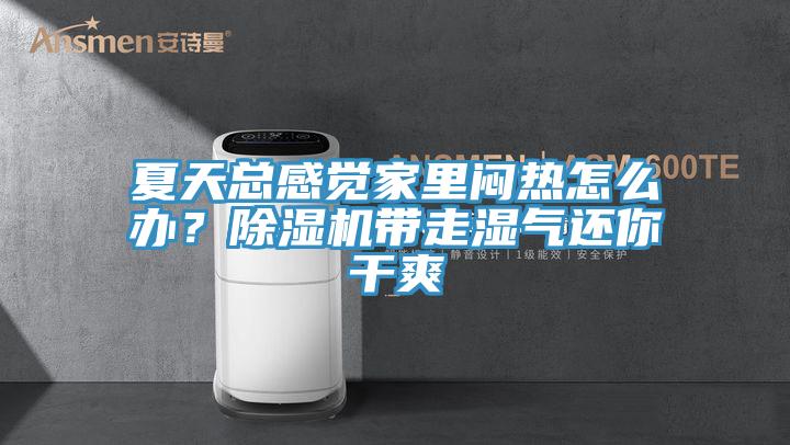 夏天總感覺家裏悶熱怎麽辦？91看片软件大全帶走濕氣還你幹爽