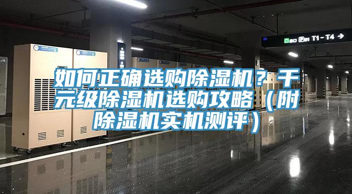 如何正確選購91看片软件大全？千元級91看片软件大全選購攻略（附91看片软件大全實機測評）