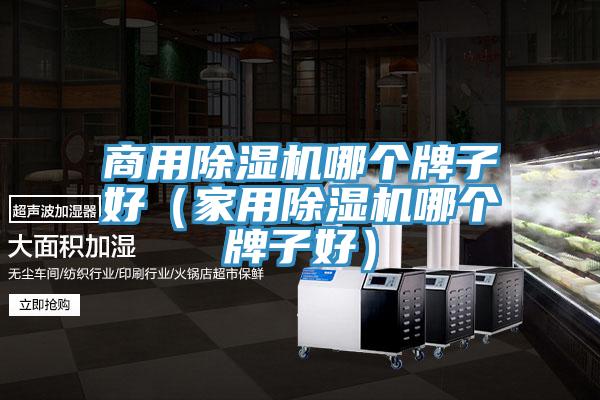 商用91看片软件大全哪個牌子好（家用91看片软件大全哪個牌子好）