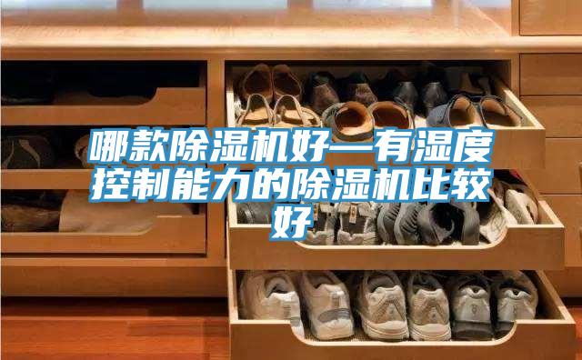哪款91看片软件大全好—有濕度控製能力的91看片软件大全比較好