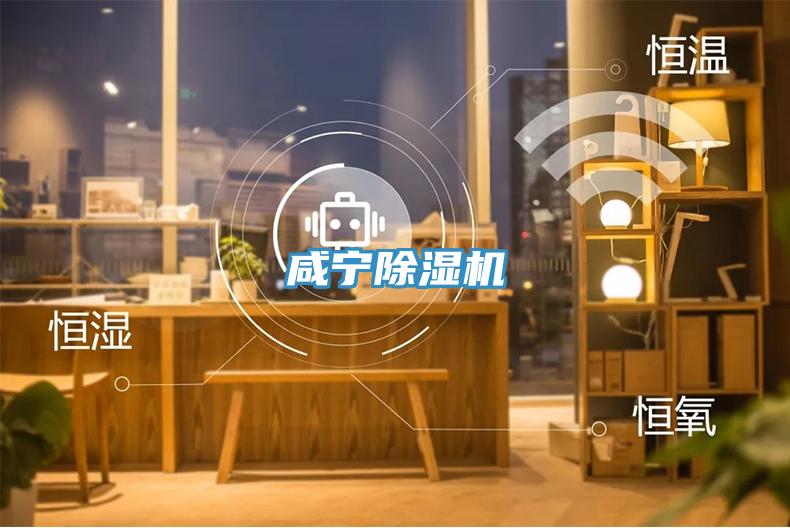 鹹寧91看片软件大全