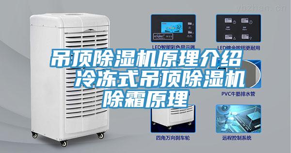 吊頂91看片软件大全原理介紹  冷凍式吊頂91看片软件大全除霜原理