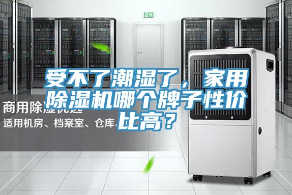 受不了潮濕了，家用91看片软件大全哪個牌子性價比高？