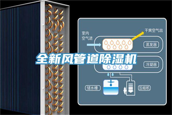 全新風管道91看片软件大全