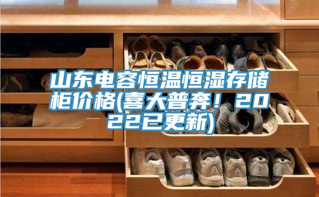 山東電容恒溫恒濕存儲櫃價格(喜大普奔！2022已更新)