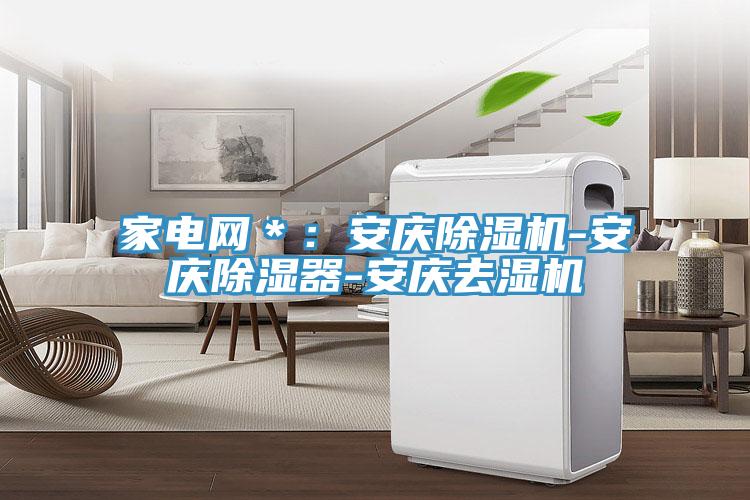家電網＊：安慶91看片软件大全-安慶除濕器-安慶去濕機