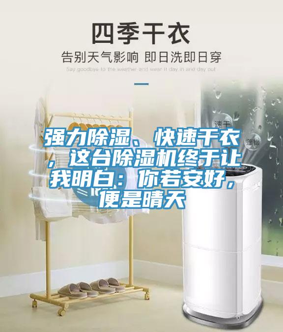 強力除濕、快速幹衣，這台91看片软件大全終於讓我明白：你若安好，便是晴天