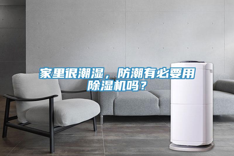 家裏很潮濕，防潮有必要用91看片软件大全嗎？