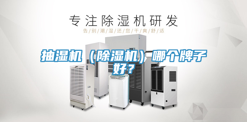 抽濕機（91看片软件大全）哪個牌子好？