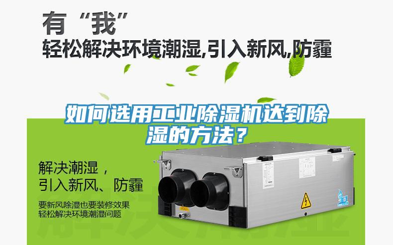 如何選用工業91看片软件大全達到除濕的方法？
