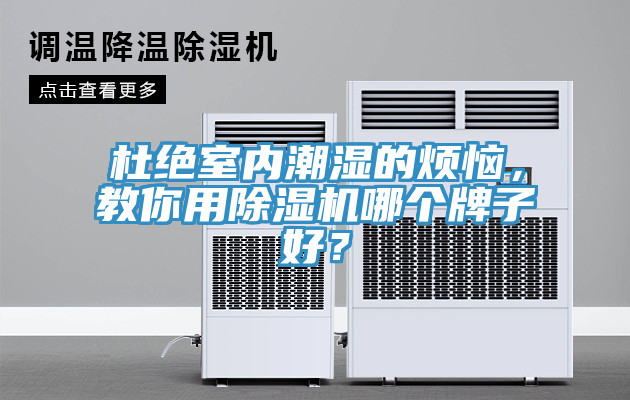 杜絕室內潮濕的煩惱，教你用91看片软件大全哪個牌子好？