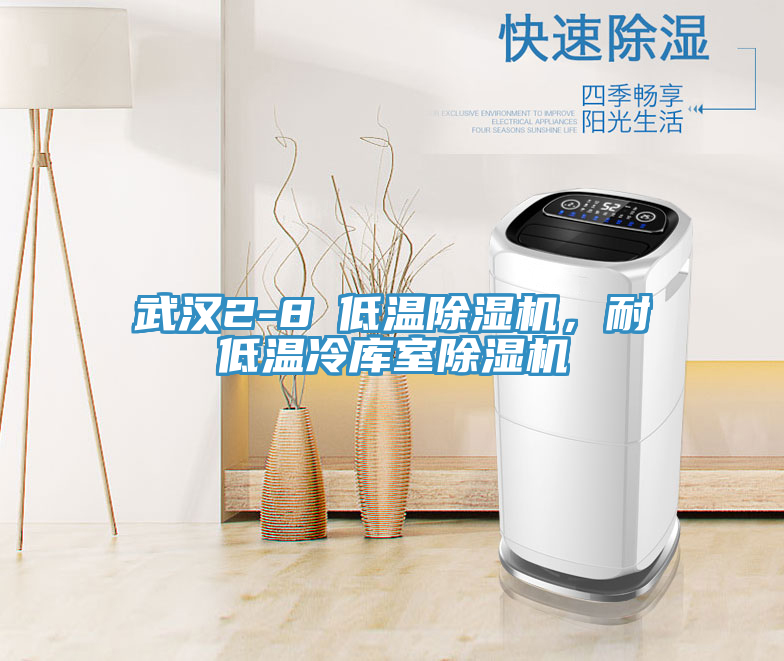 武漢2-8℃低溫91看片软件大全，耐低溫冷庫室91看片软件大全