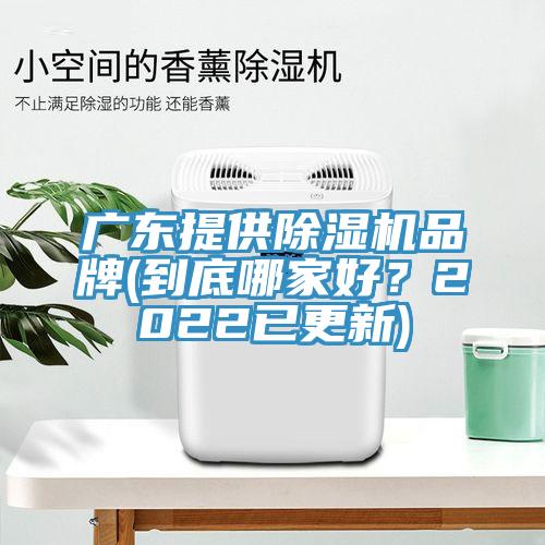 廣東提供91看片软件大全品牌(到底哪家好？2022已更新)