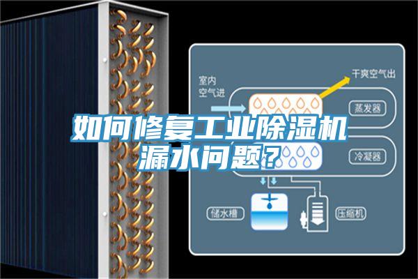 如何修複工業91看片软件大全漏水問題？